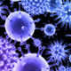 virus2